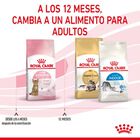 Royal Canin Kitten Sterilised pienso para gatos, , large image number null