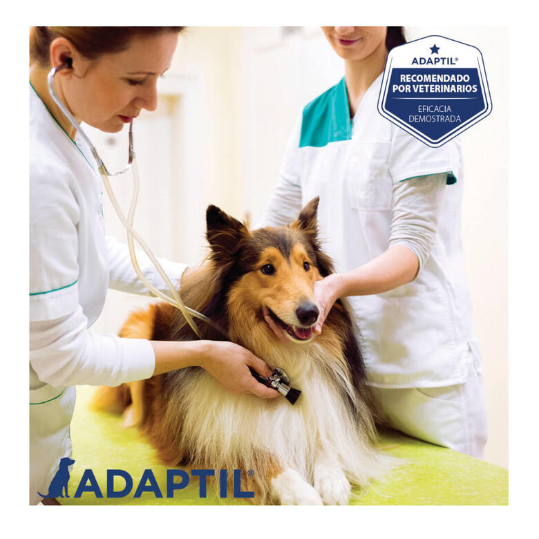 Adaptil Collar Tranquilizante para perros, , large image number null