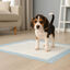 Nice Care Empapadores Premium para perros, , large indicador imagen numero 1
