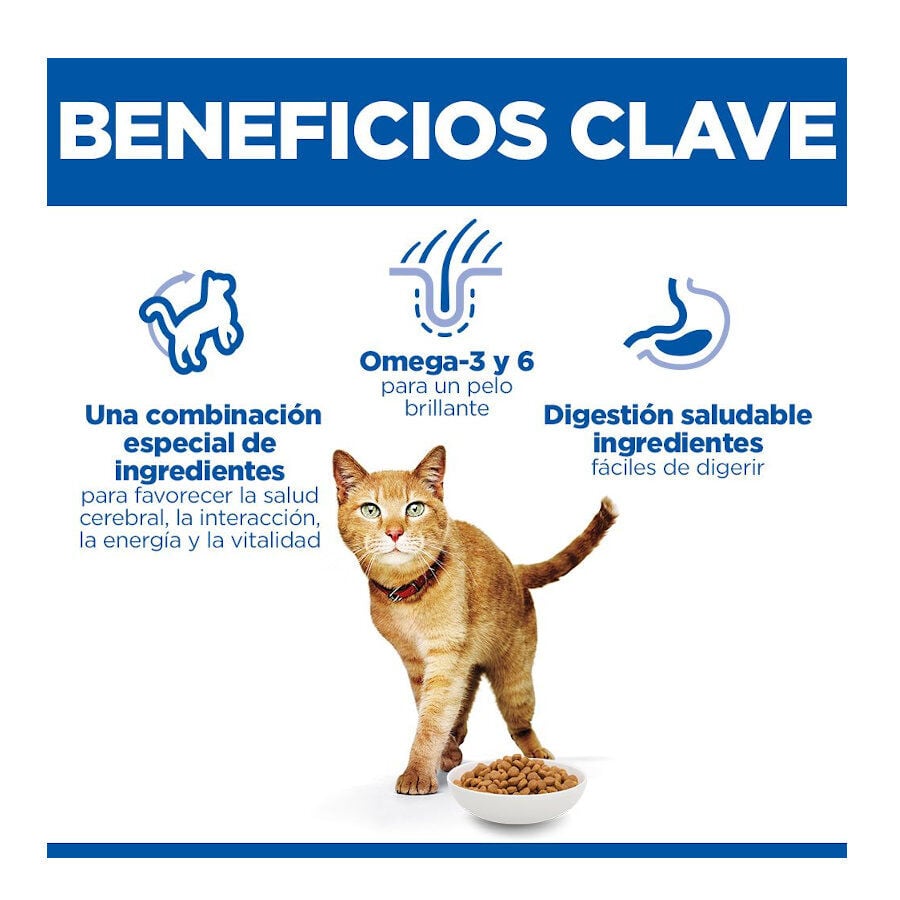 1.5 kg Hill's Science Plan Youthful Vitality Pollo pienso para gatos, , large Imagen numero 3