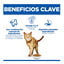 1.5 kg Hill's Science Plan Youthful Vitality Pollo pienso para gatos, , large indicador imagen numero 3