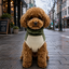Gotoo Jersey Polar Verde para perros, , large indicador imagen numero 1