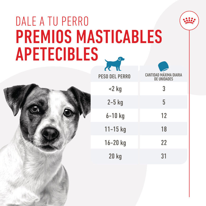 Royal Canin Training Treats Snacks para perros thumbnail