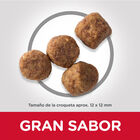Hill's Mature Light pollo 12kg image number null
