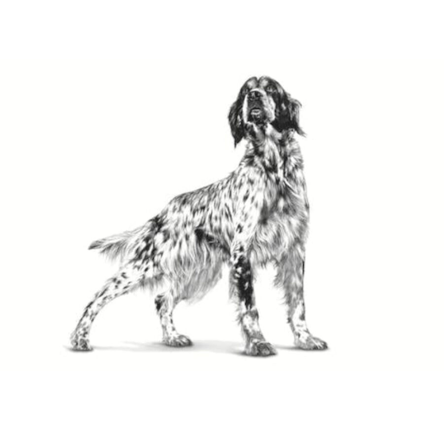 410 g Royal Canin Veterinary Sensitivity Control Pato y Arroz lata para perros, , large Imagen numero 3