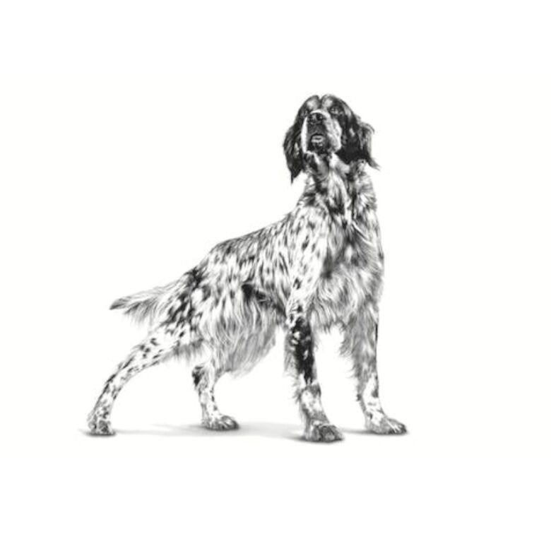 Royal Canin Veterinary Sensitivity Control Pato y Arroz lata para perros thumbnail
