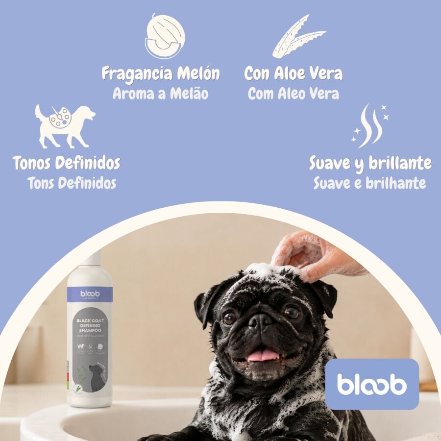 Bloob Champ&uacute; Definidor Mantos Negros Mel&oacute;n para perros, , large Imagen numero 3