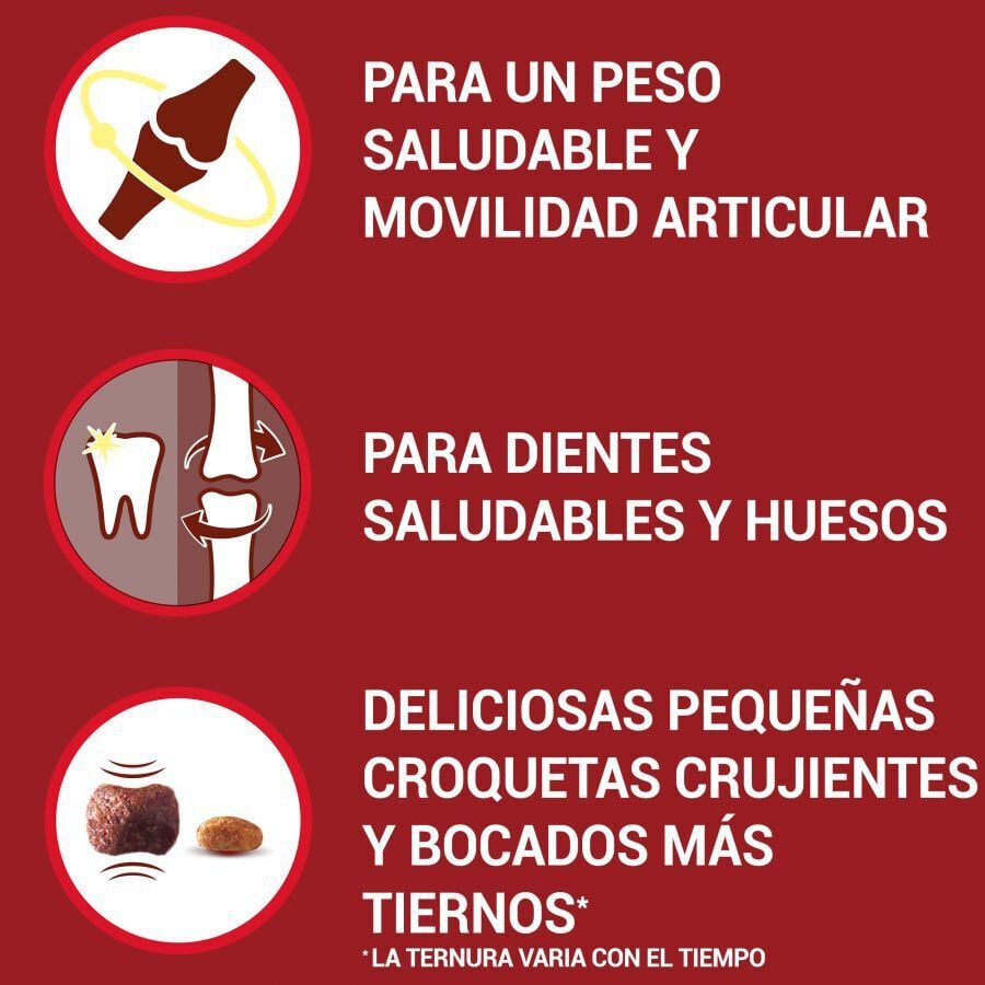 1.5 kg Purina One Senior 8+ Mini pienso para perros, , large Imagen numero 2