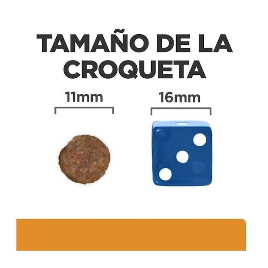 Hill&#039;s Prescription Diet kidney + Mobility pienso para perros thumbnail