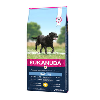Eukanuba Mature Pollo pienso para perros