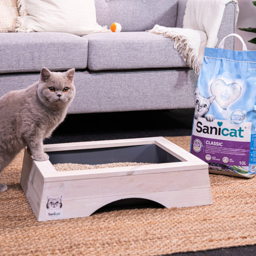 Sanicat Classic Arena Absorbente Lavanda thumbnail