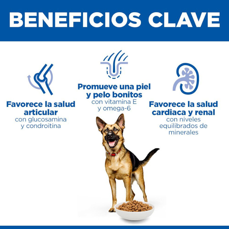 Hill&#039;s Science Plan pienso pollo para perros mayores de razas grandes thumbnail