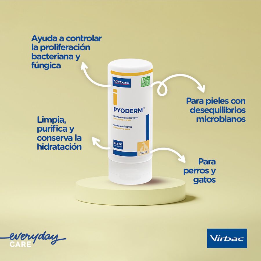 Virbac Pyoderm Champú Antiséptico Dermatológico para perros thumbnail