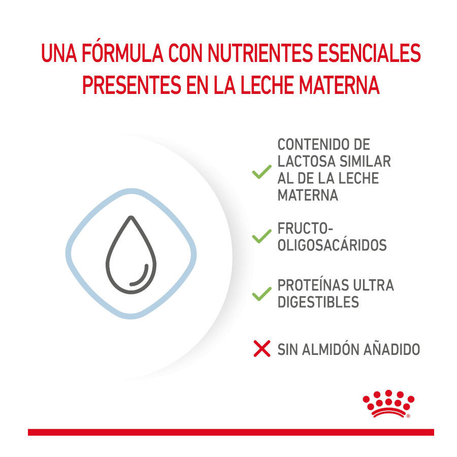 2 kg Royal Canin Leche para cachorros primer a&ntilde;o, , large Imagen numero 5