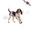 Wonder Christmas Cuerda y Cascabel Juguete para perros, , large indicador imagen numero 1