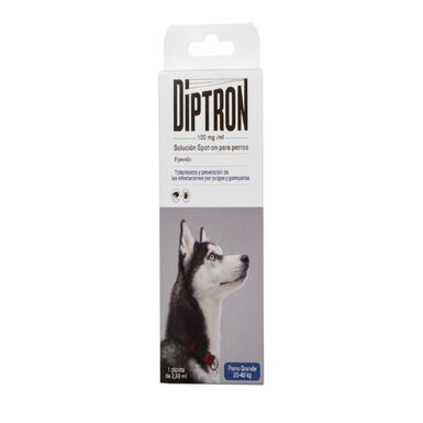 Diptron Spot On Grande Pipeta Antiparasitaria para perros