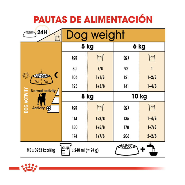 Royal Canin Adult Jack Russell Terrier pienso para perros thumbnail