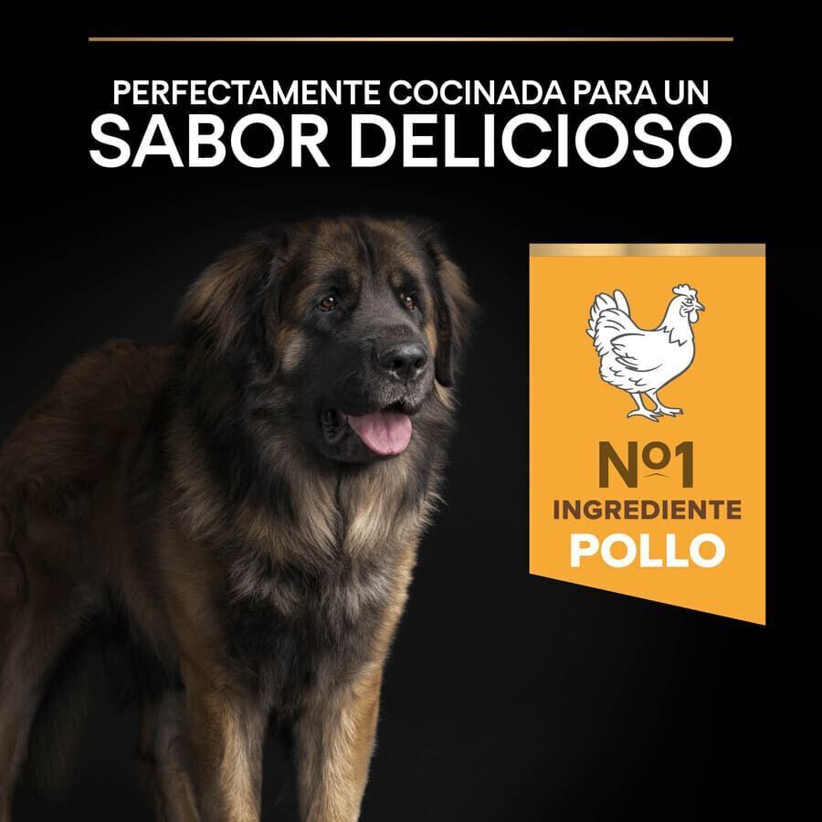 Pro Plan Large Robust Adult pienso para perros thumbnail