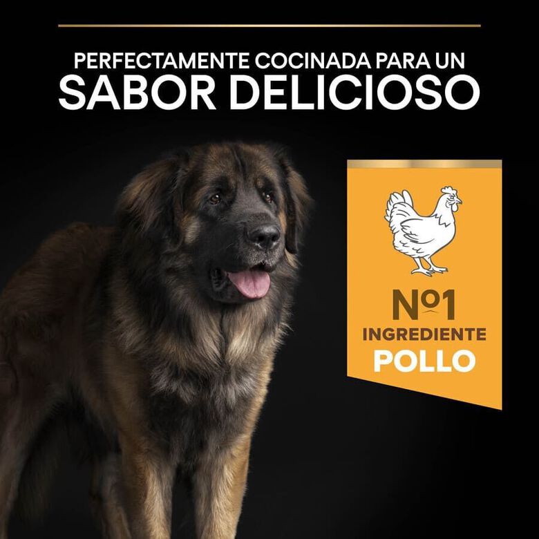 Pro Plan Large Robust Adult pienso para perros thumbnail