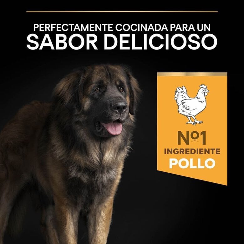 16.5 kg (14 + 2.5 kg ¡gratis!) Pro Plan Large Robust Adult pienso para perros,  Imagen numero 7 16.5 kg (14 + 2.5 kg ¡gratis!) Pro Plan Large Robust Adult pienso para perros, , large Imagen numero 7