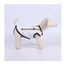 Disney Pride Camiseta para perros, , large indicador imagen numero 4