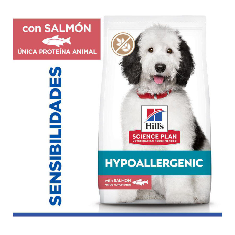 Hill&#039;s Science Plan Hipoalergénico Large Salmón pienso para perros thumbnail