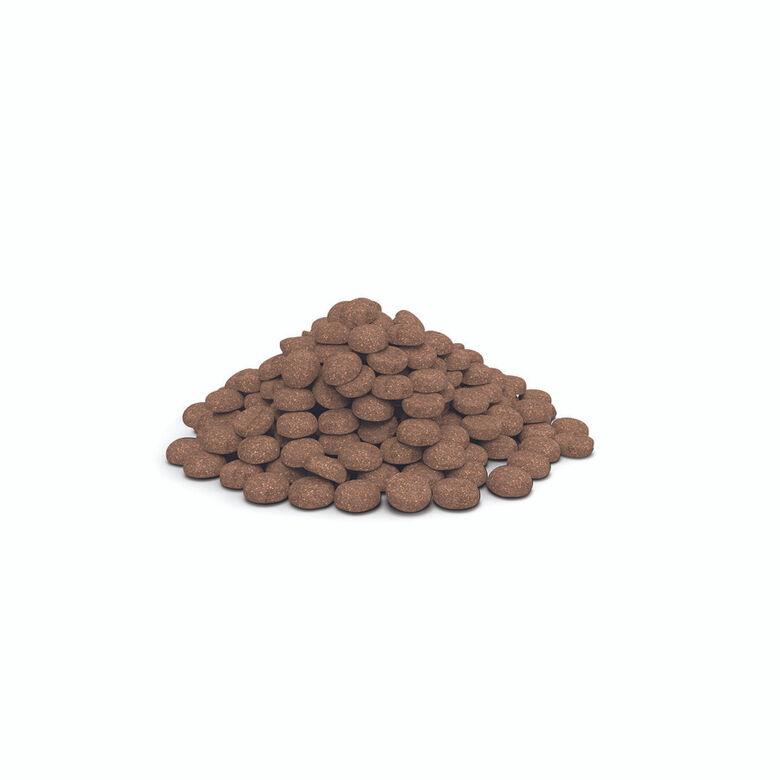 Virbac Veterinary HPM Urology - U3 Urinary WIB  pienso para gatos thumbnail