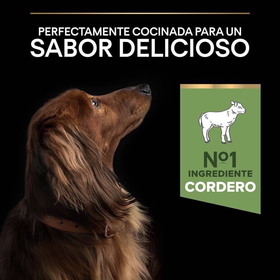 3 kg Pro Plan Adult Small y Mini Digesti&oacute;n Cordero pienso para perros, , large Imagen numero 7