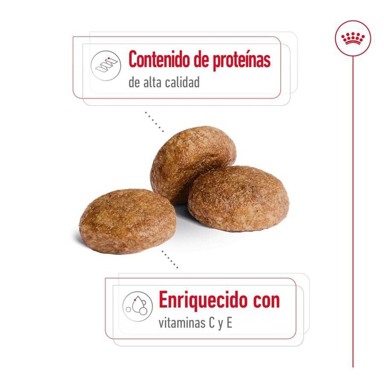 15 kg Royal Canin Medium 7+ Adult pienso para perros senior,  Imagen numero 6 15 kg Royal Canin Medium 7+ Adult pienso para perros senior, , large Imagen numero 6