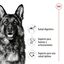 18 kg (15 + 3kg ¡gratis!) Royal Canin Maxi Adult pienso para perros, , large indicador imagen numero 5
