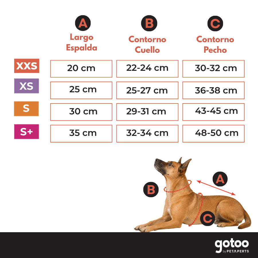Gotoo Jersey Estampado Estrellas para perros, , large Imagen numero 5