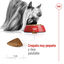 Royal Canin X-Small Ageing 12+ Adult pienso para perros, , large indicador imagen numero 7