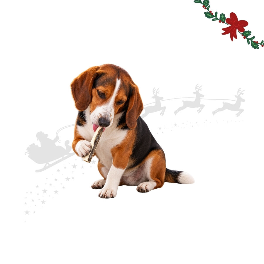 4 uds. Wonder Christmas Palitos con Pescado Snacks para perros, , large Imagen numero 1
