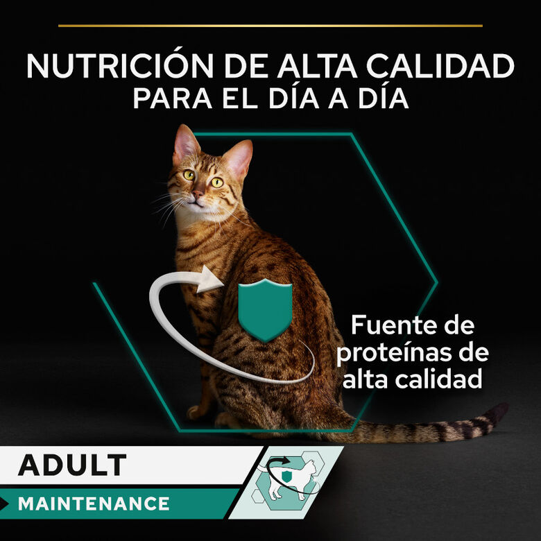 Pro Plan Adult Maintenance Terrina rico en pollo para gatos thumbnail