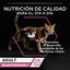 Pro Plan Adult Delicate Digestion Pavo y Pescado del Océano en Salsa sobre para gatos - Multipack 10, , large indicador imagen numero 2