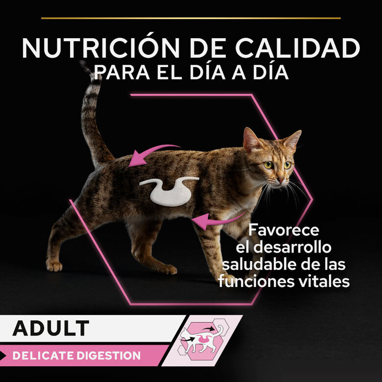 Pro Plan Adult Delicate Digestion Pavo y Pescado del Océano en Salsa sobre para gatos - Multipack thumbnail