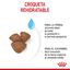8 kg Royal Canin Starter MotheryBaby Mini pienso para perros, , large indicador imagen numero 4