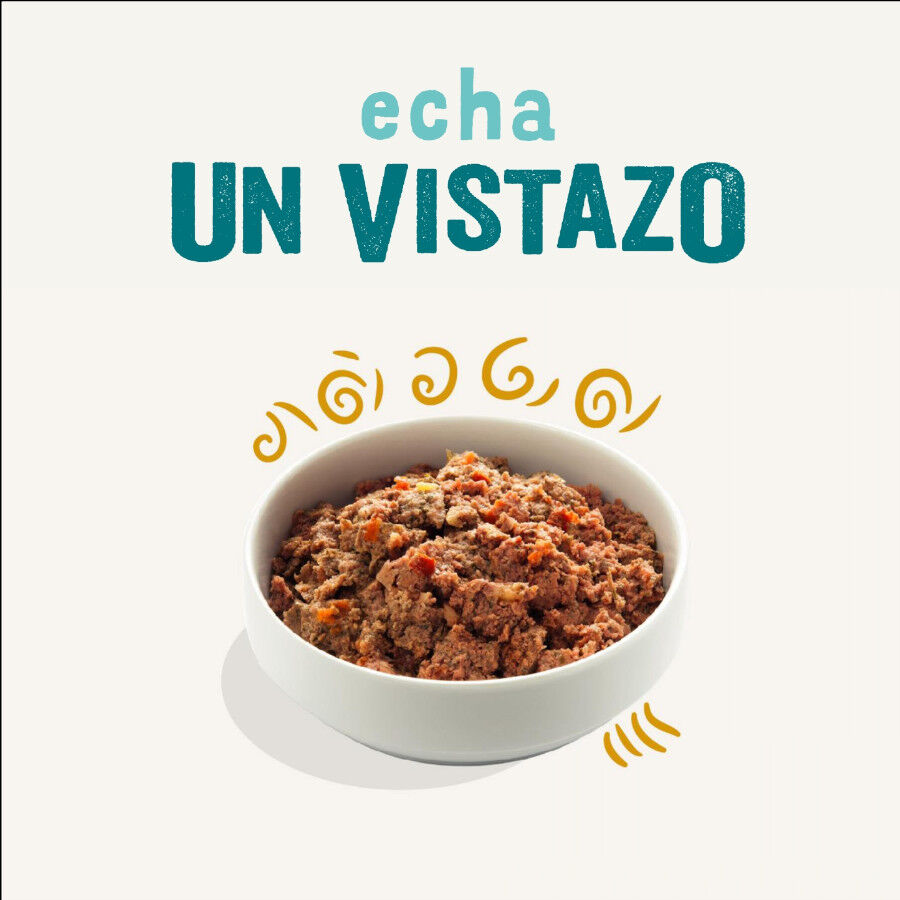 Edgard &amp; Cooper latas para perros thumbnail