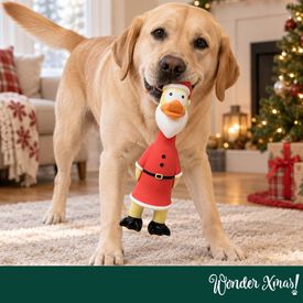 Wonder Christmas Pollo L&aacute;tex Juguete para perros