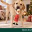 Wonder Christmas Pollo L&aacute;tex Juguete para perros, , large indicador imagen numero 2