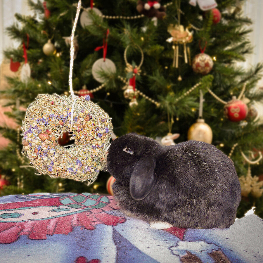 Rosewood Snack Corona Navide&ntilde;a para Roedores, , large Imagen numero 2