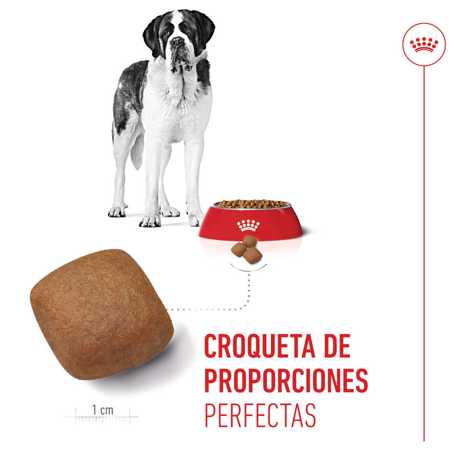 Royal Canin Junior Giant pienso para perros thumbnail