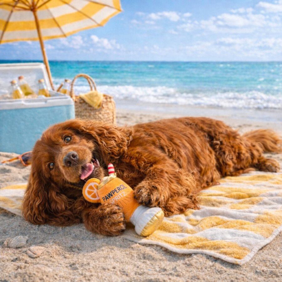 Summer Vibes Pawperol Spritz Peluche Juguete para perros, , large Imagen numero 1