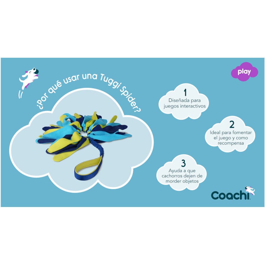 Coachi Tuggi Spider juguete con flecos para perros, , large Imagen numero 5