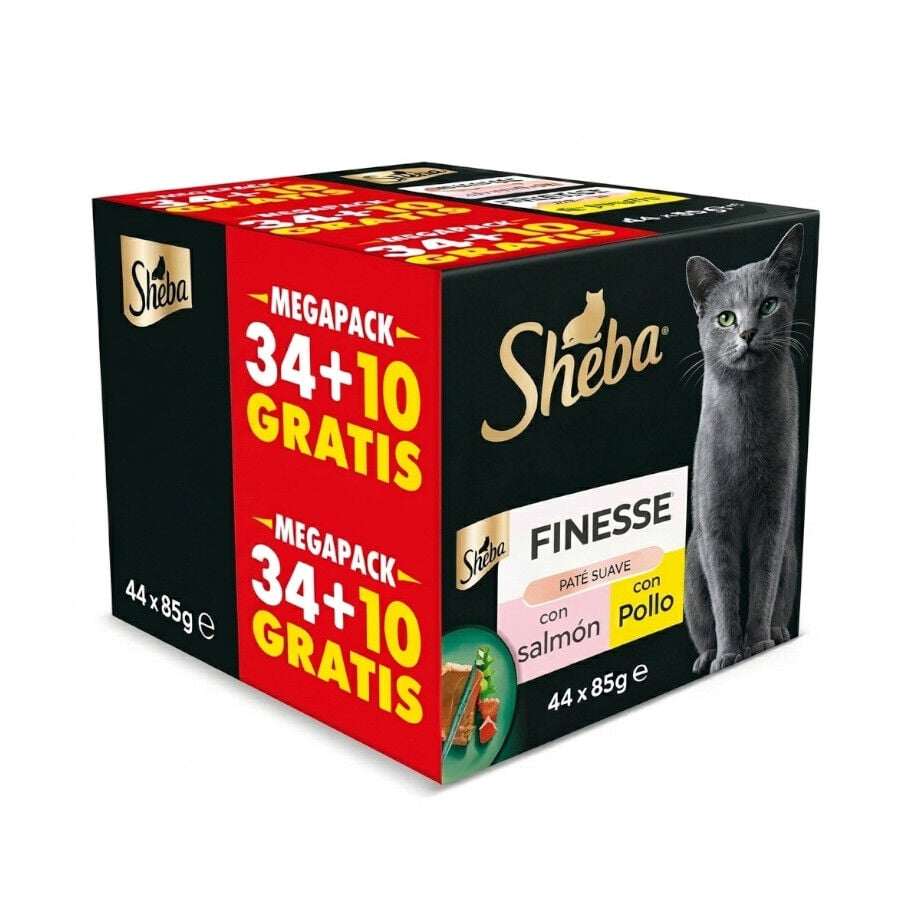 44 tarrinas x 85 g  Sheba Finesse Pollo y Salm&oacute;n en pat&eacute; tarrinas para gatos, , large Imagen numero 1