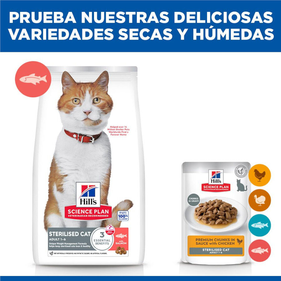 Hill's Science Plan Sterilised pienso salmón para gatos esterilizados thumbnail