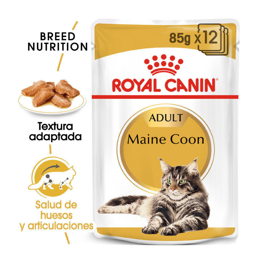 Royal Canin Maine Coon sobres para gatos thumbnail