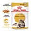 85 g Royal Canin Maine Coon sobres para gatos, , large indicador imagen numero 2
