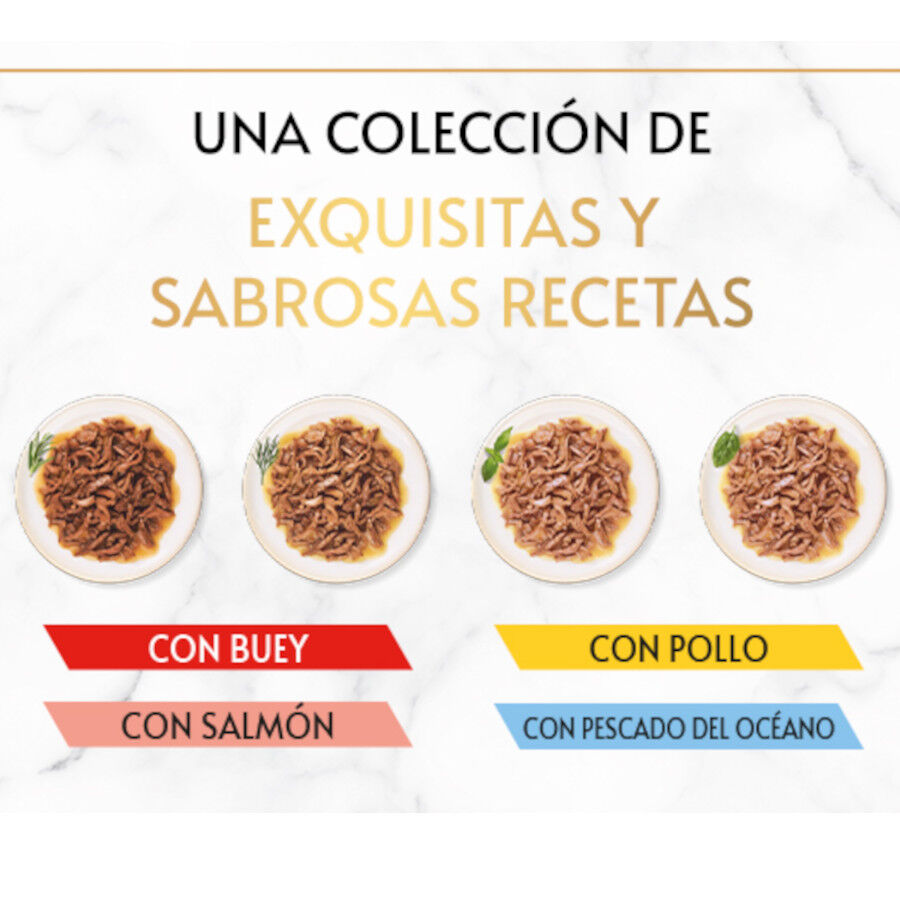 Gourmet Gold Delicias Suculentas Mixtas lata para gatos thumbnail