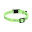 Flamingo Collar Ziggi Verde Fluorescente para gatos, , large indicador imagen numero 2